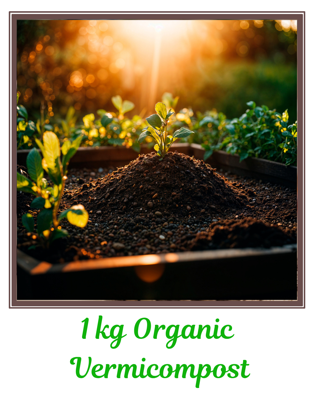 25kg Organic Vermicompost (3)